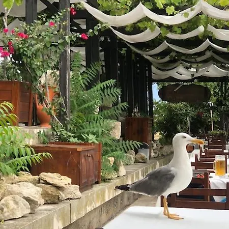 וילה Stunning With Private Pool