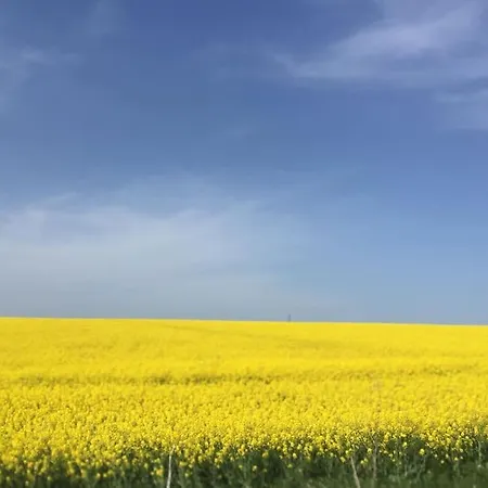 וילה Stunning With Private Pool Kableshkovo (Burgas)