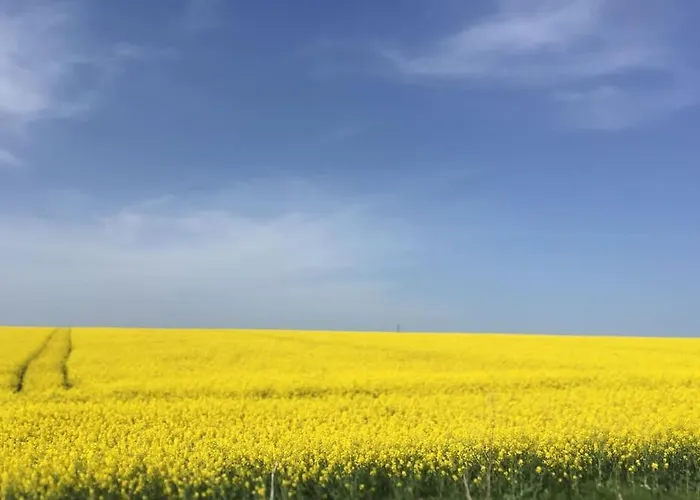 Villa Stunning With Private Pool Kableshkovo (Burgas)